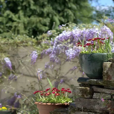 Guest house Country Cottages Brittany *